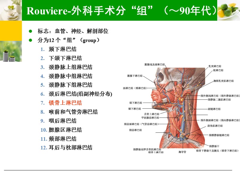 颈部淋巴结分区的概念及演变ppt课件.ppt