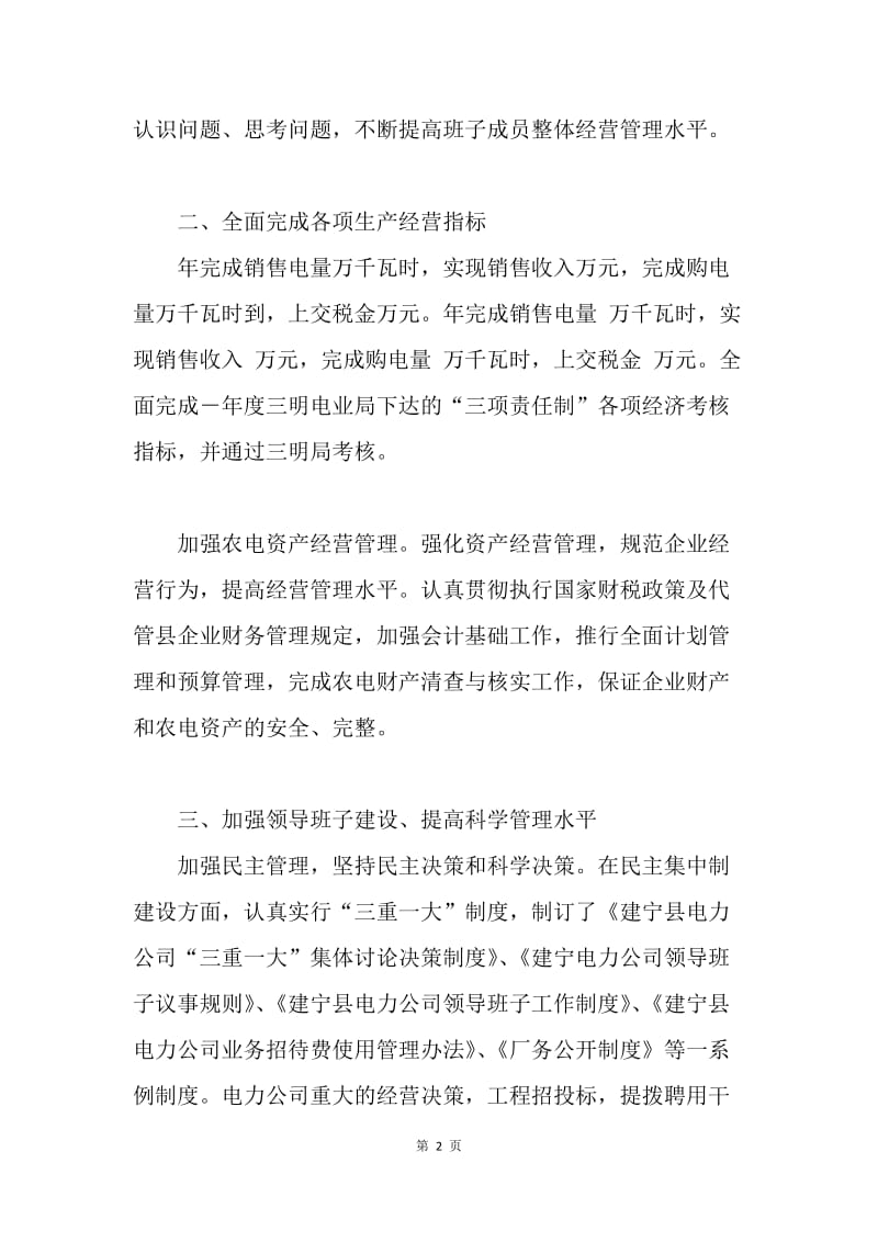 县电力公司领导班子述职报告.docx_第2页