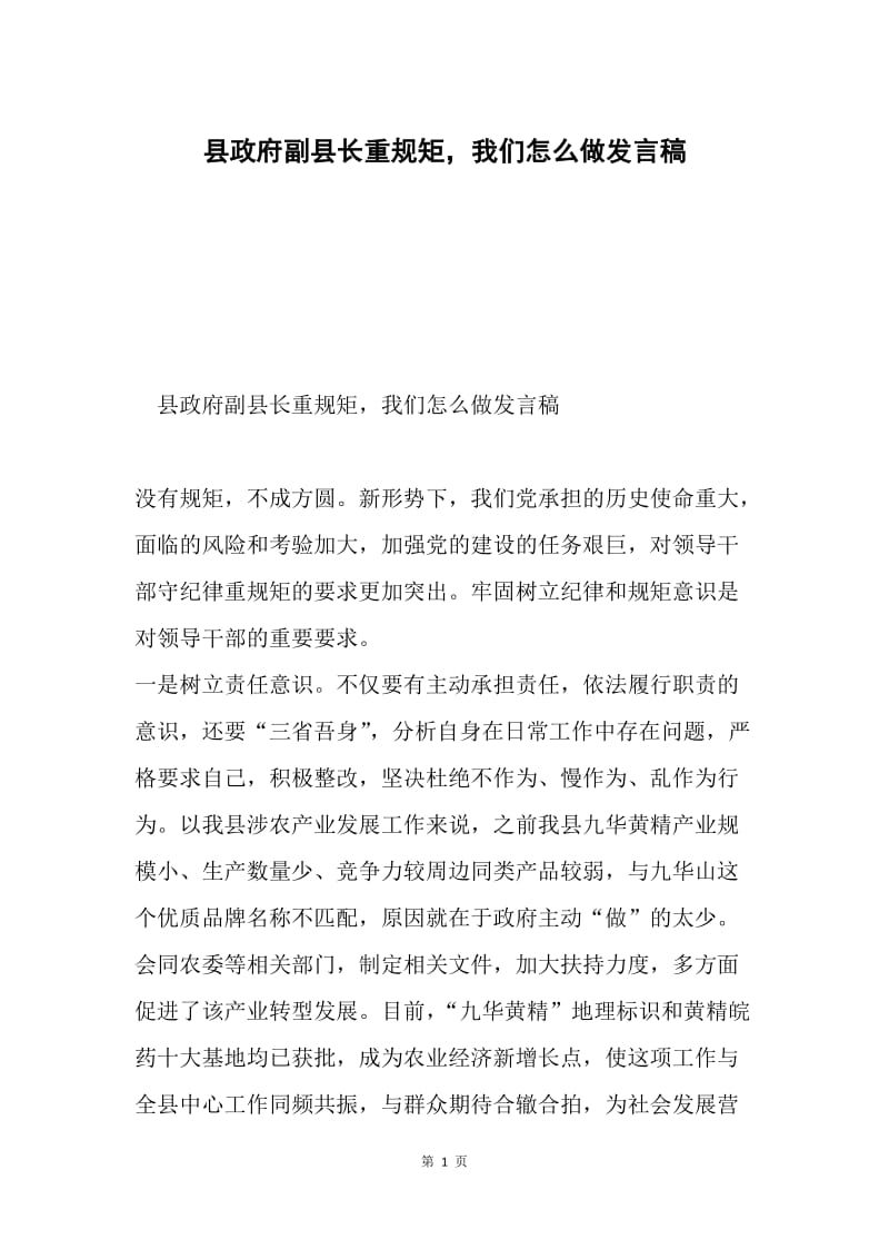 县政府副县长重规矩，我们怎么做发言稿.docx_第1页