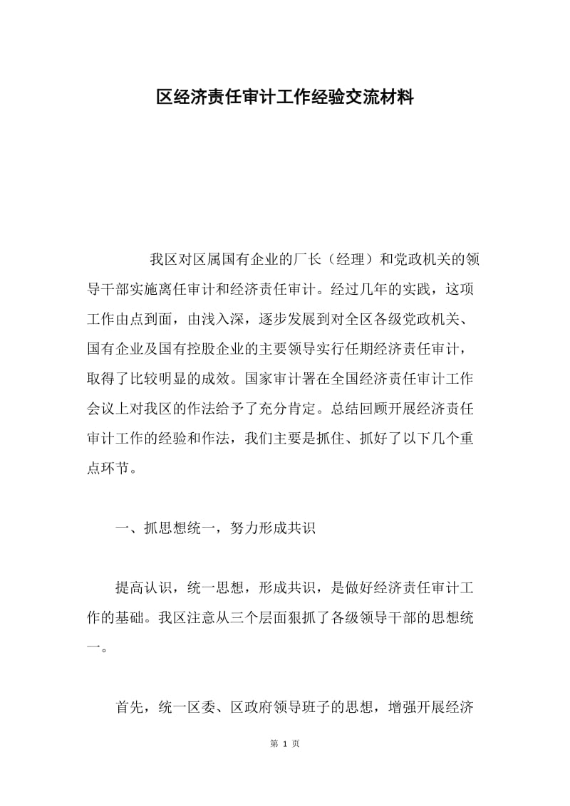 区经济责任审计工作经验交流材料.docx_第1页