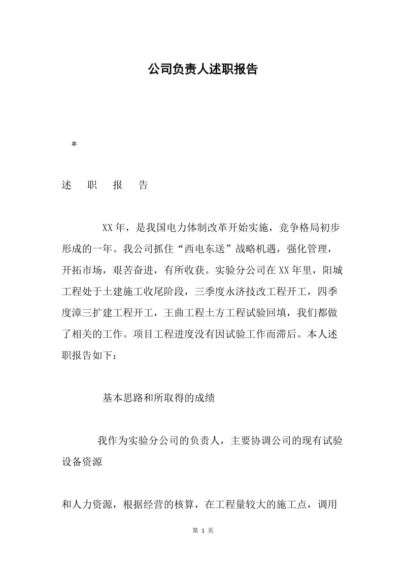 公司负责人述职报告.docx_第1页