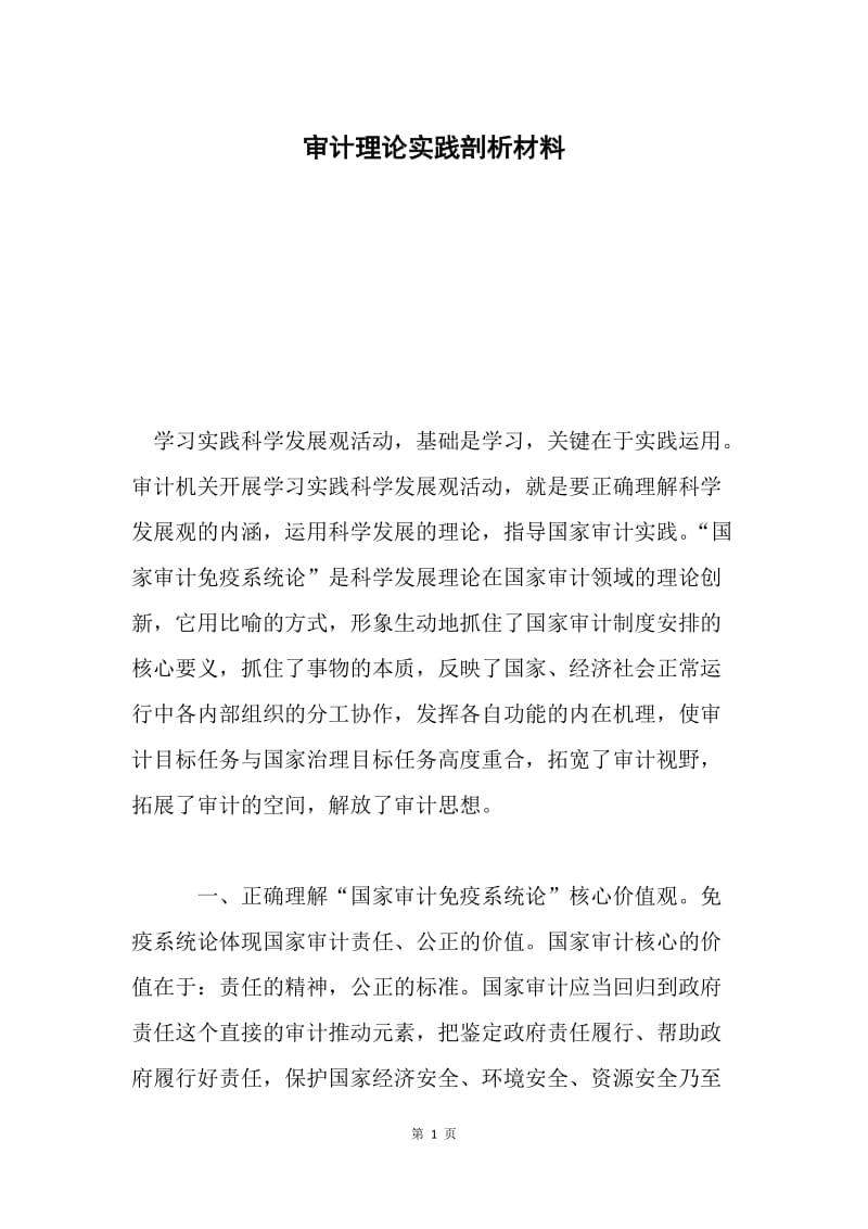 审计理论实践剖析材料.docx_第1页