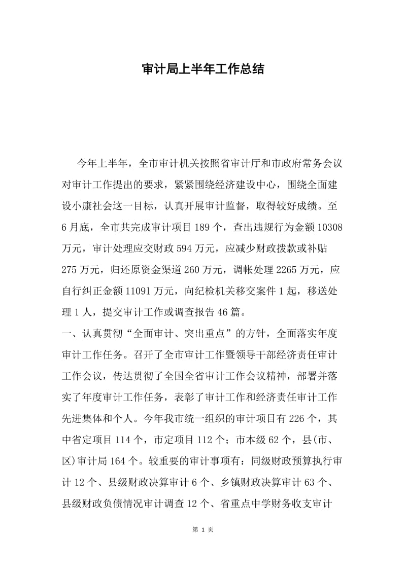 审计局上半年工作总结.docx_第1页