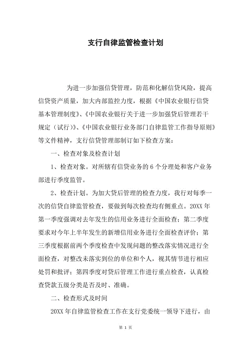 支行自律监管检查计划.docx