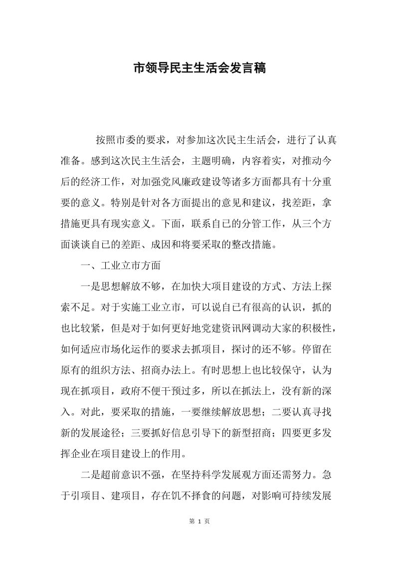 市领导民主生活会发言稿.docx_第1页