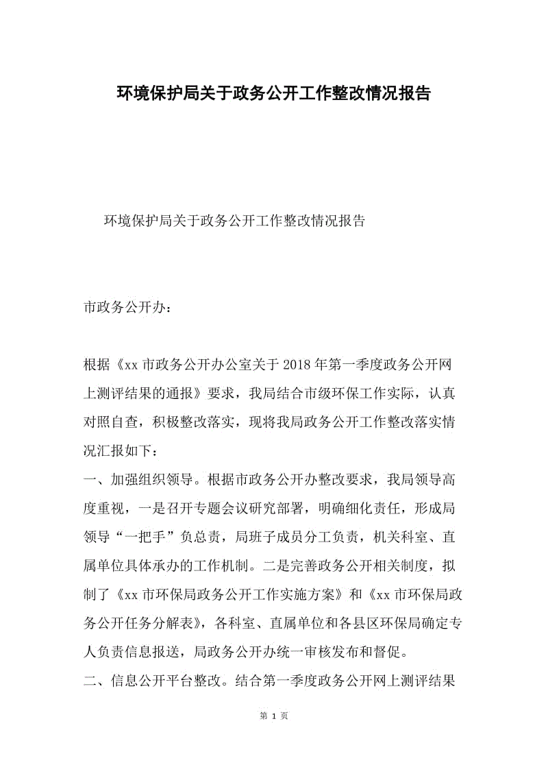 环境保护局关于政务公开工作整改情况报告.docx