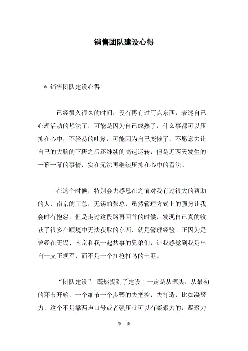 销售团队建设心得.docx