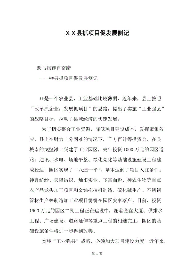 ＸＸ县抓项目促发展侧记.docx