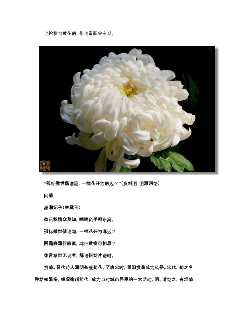 重阳节诗词70首名师制作优质教学资料.doc_第2页