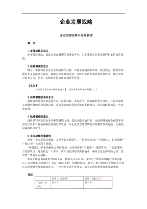 论企业发展战略.doc