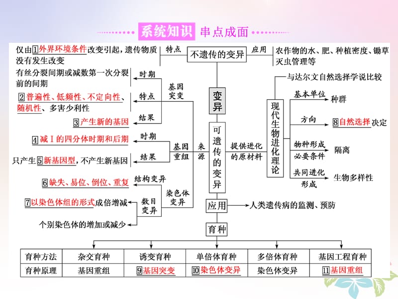 （全国通用）高考生物二轮复习专题三遗传串讲三变异、育种与进化第1课时基础自查课件.ppt_第2页