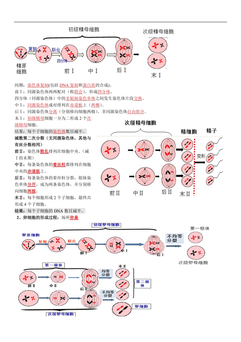 浙科版高中生物必修二 复习提纲.doc_第2页