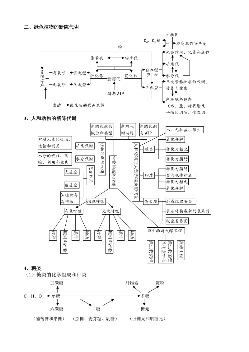 生物知识网络图整理版.doc_第3页