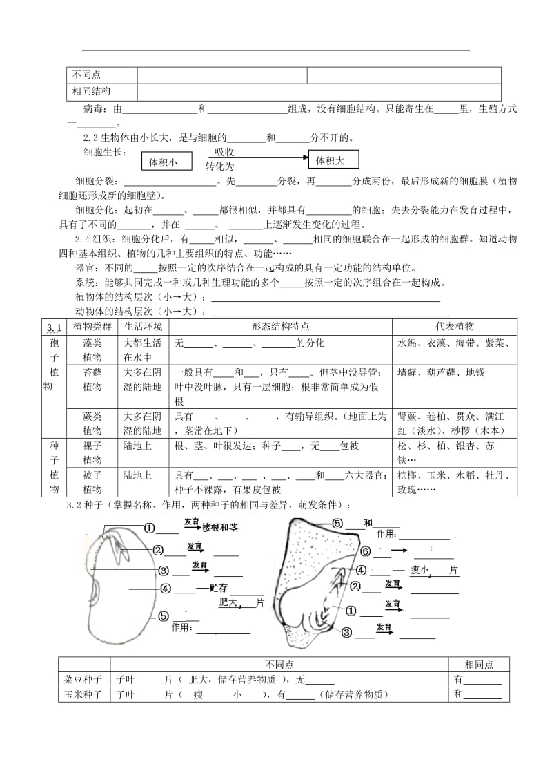 泸州生物中考总复习——重要知识点.doc_第3页