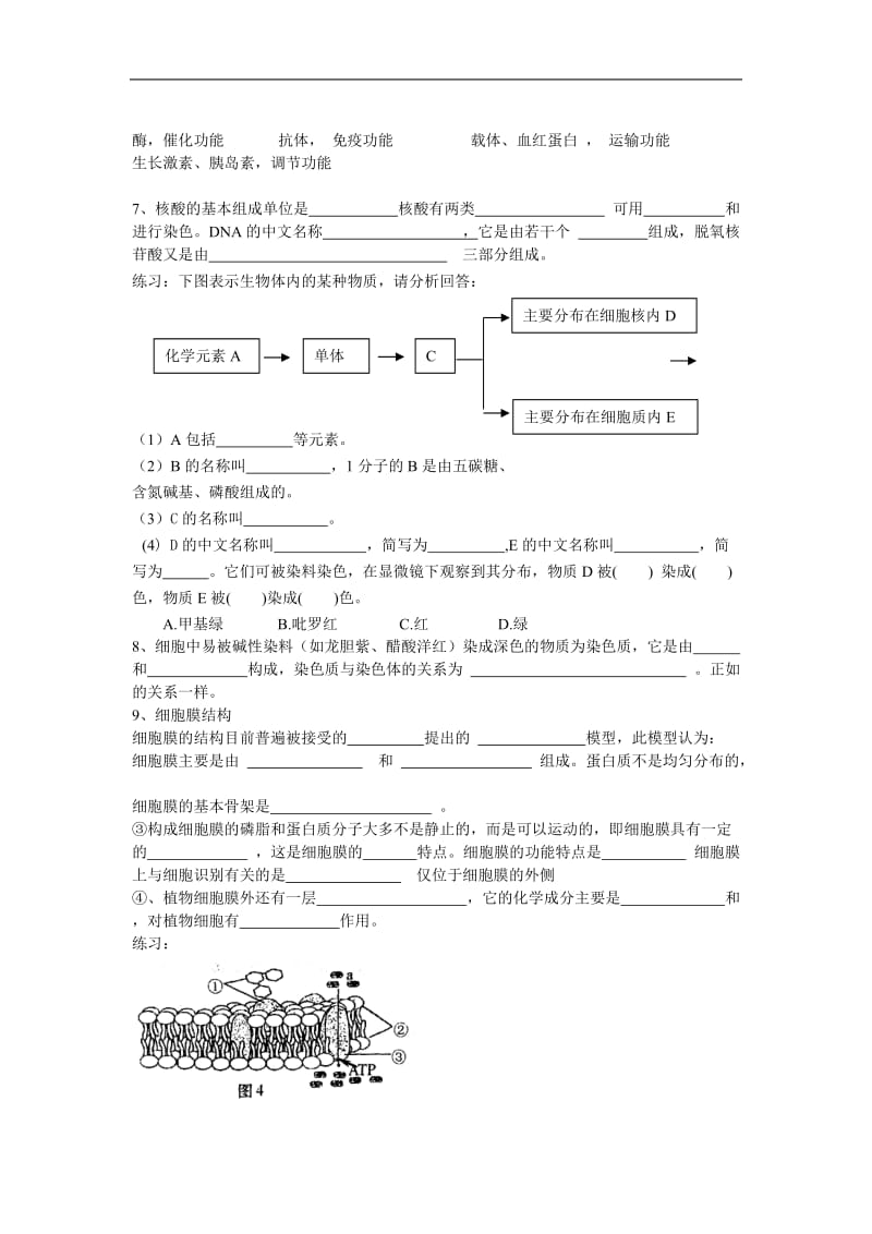 高中生物必修3册知识点复习.doc_第3页