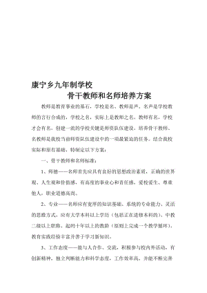 骨干教师和名师培养方案名师制作优质教学资料.doc