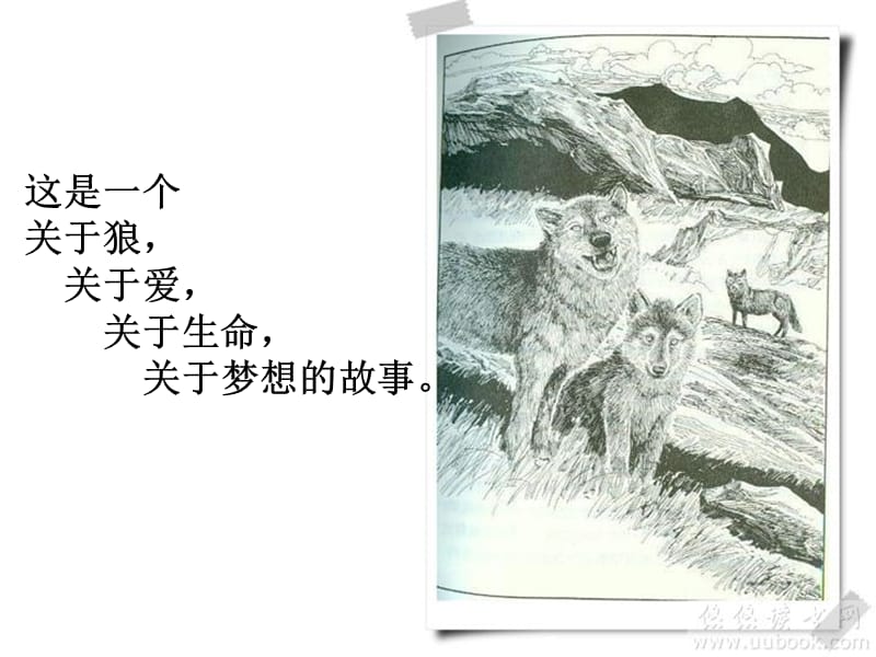 《狼王梦》名师制作优质教学资料.ppt_第3页