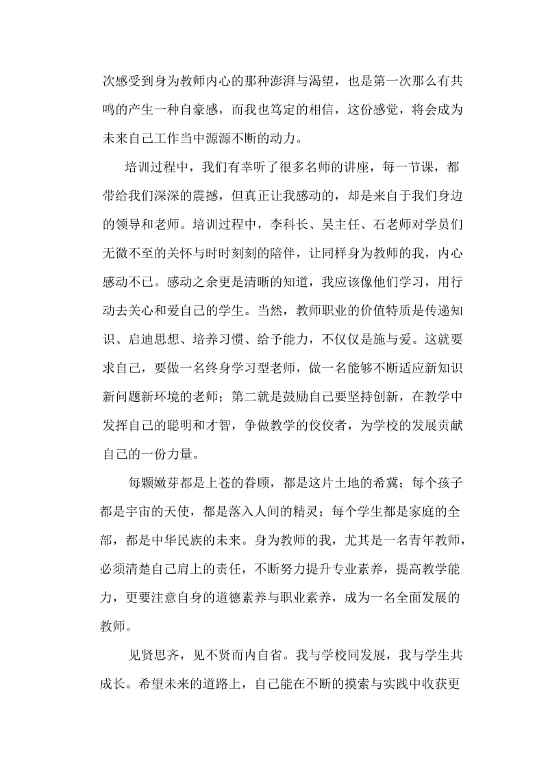 青年教师培训总结名师制作优质教学资料.doc_第2页