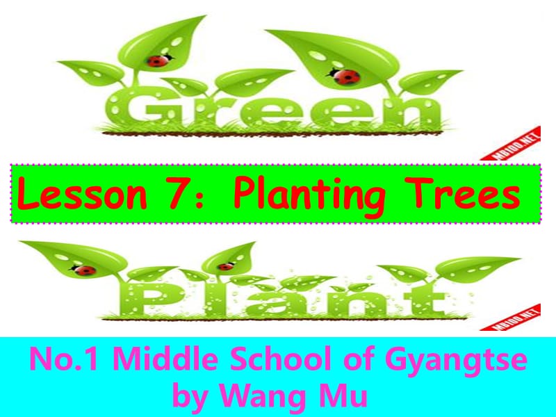 《Lesson7PlantingTrees课件》初中英语冀教版八年级下册39829名师制作优质学案.ppt_第2页