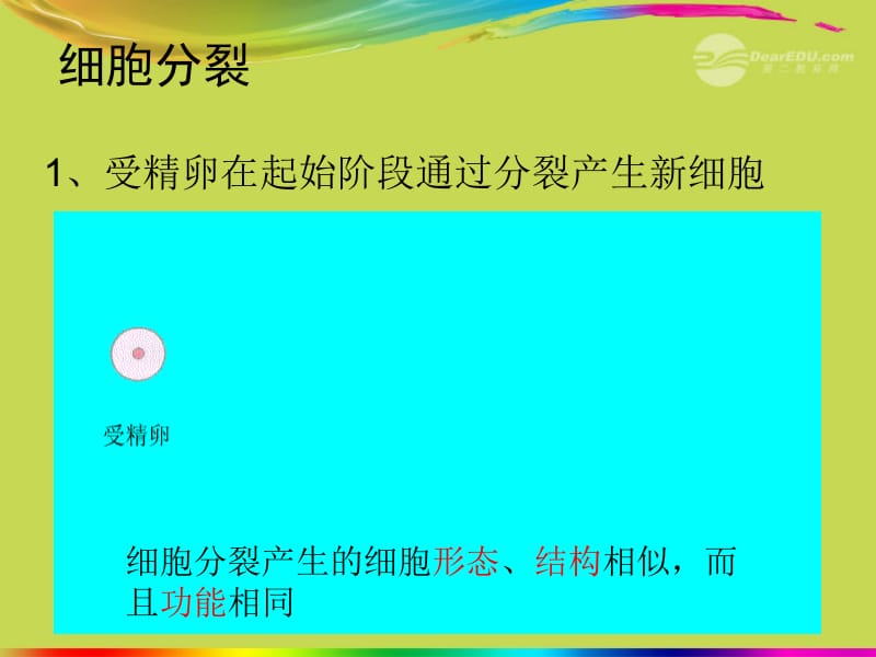 湖北省武汉市秋七年级生物上册《2.3.1动物体的结构层次》课件 新人教版名师制作优质学案新.ppt_第3页