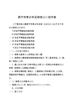 青少年足球培训计划方案名师制作优质教学资料.doc