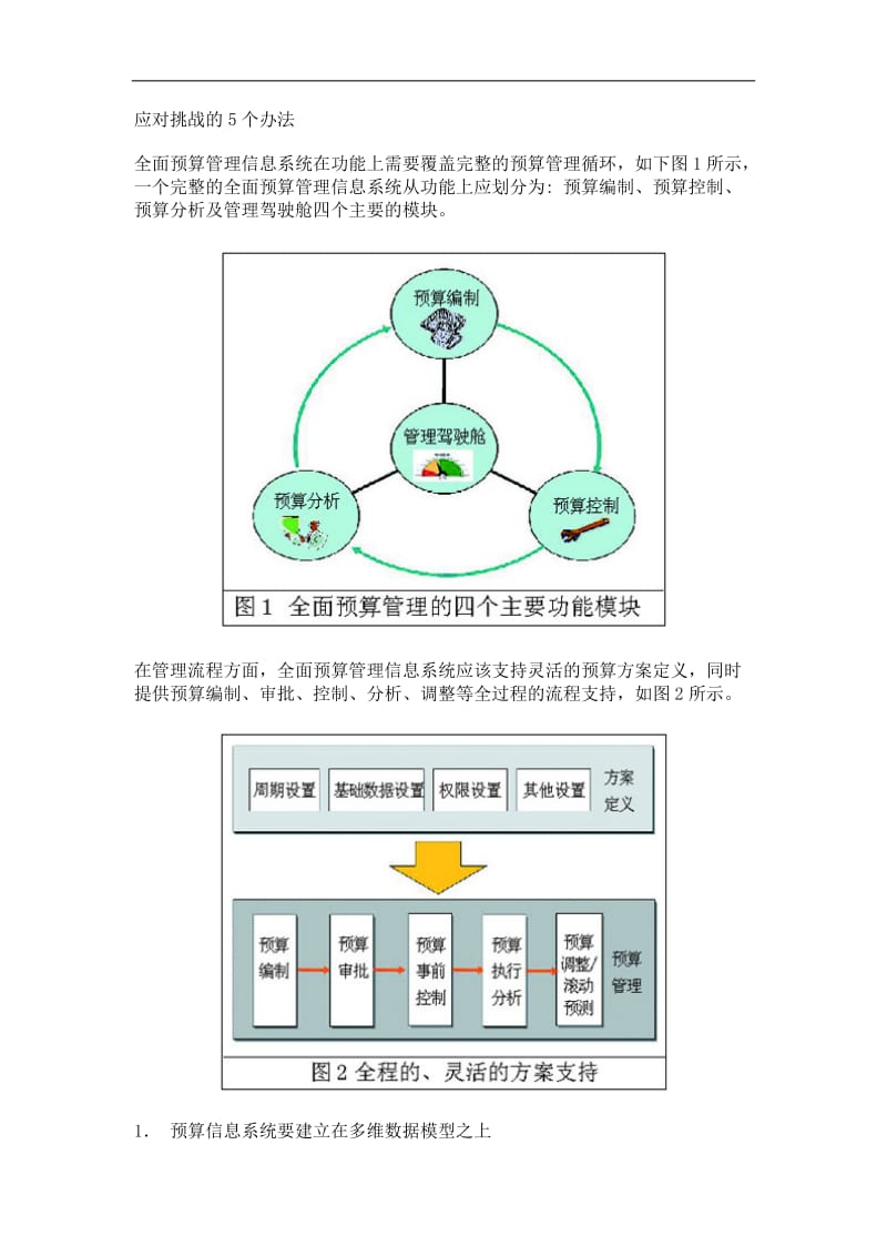 全面预算管理系统分析.doc_第2页