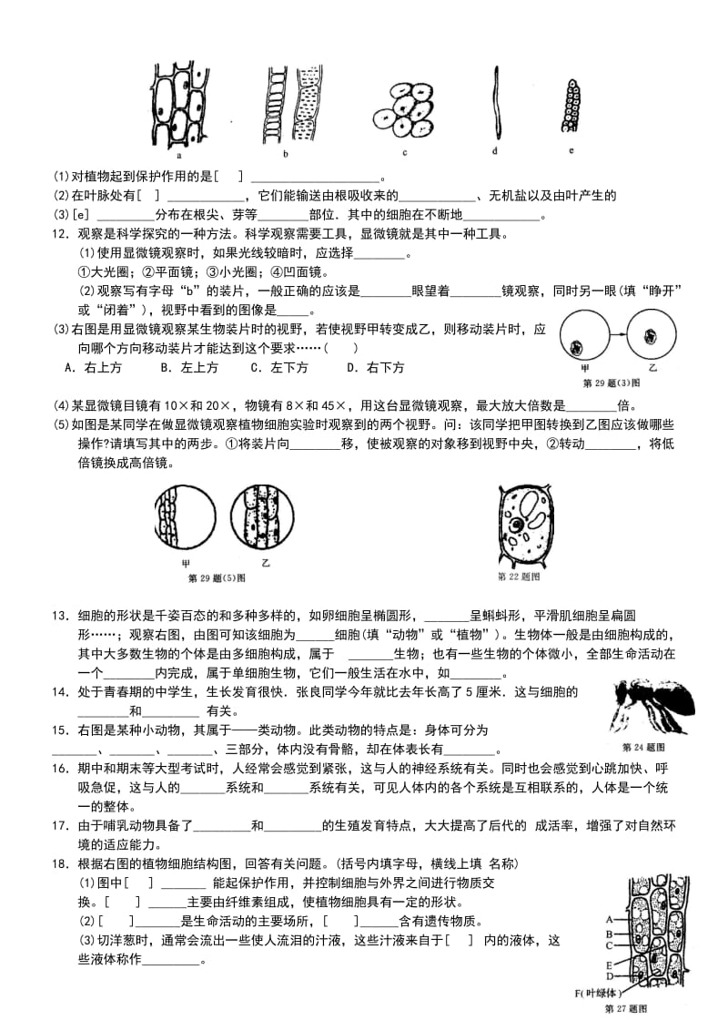 -学年新浙教版科学七年级上册一、二章识图题(含答案)名师制作优质教学资料.doc_第3页