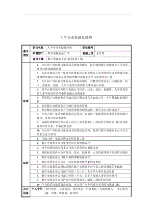 A平台业务副总经理岗位说明书.doc.doc