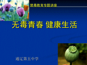 禁毒讲座2名师制作优质教学资料.ppt