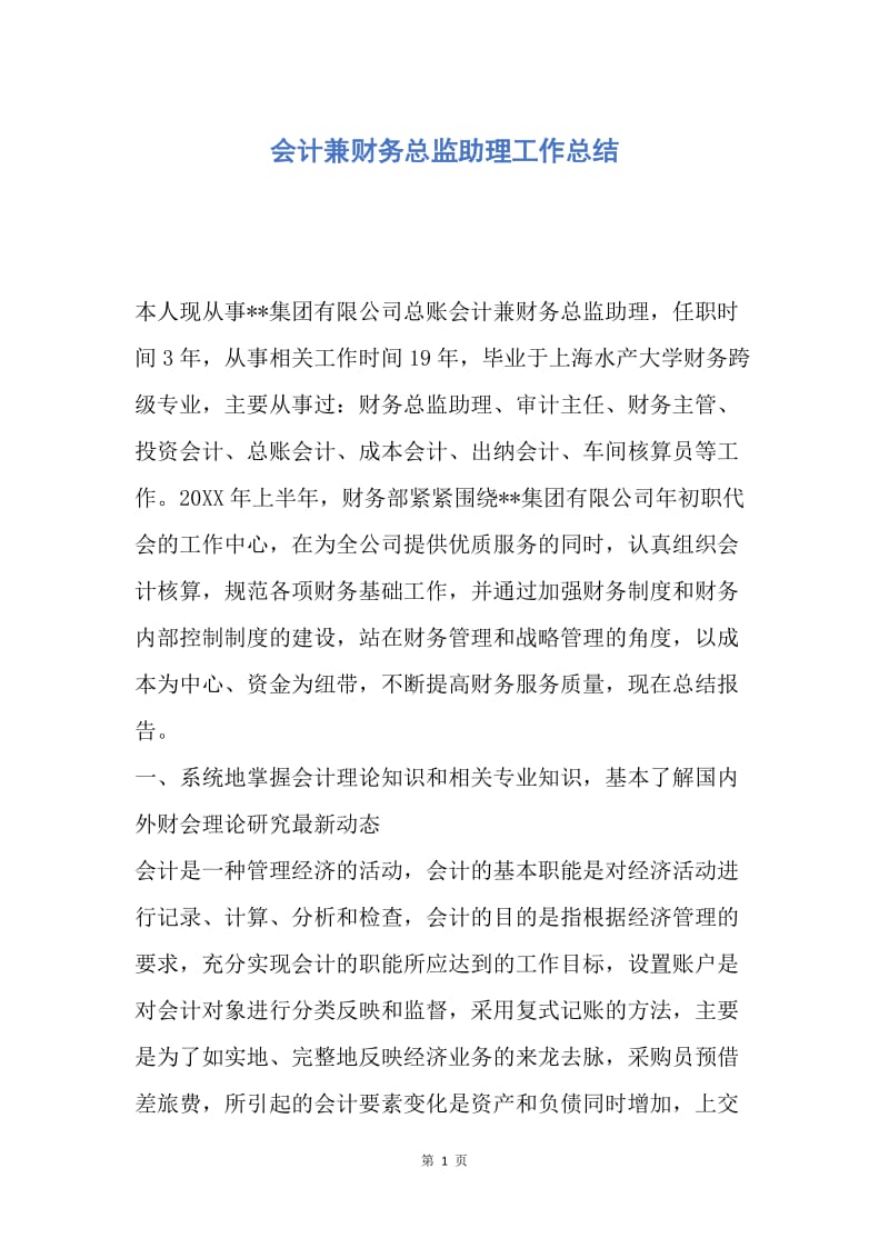 【工作总结】会计兼财务总监助理工作总结.docx_第1页