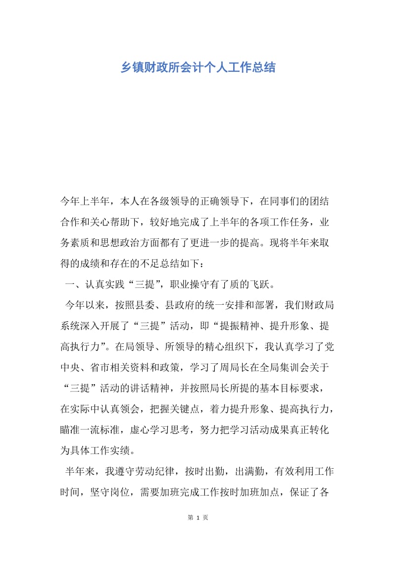 【工作总结】乡镇财政所会计个人工作总结.docx_第1页