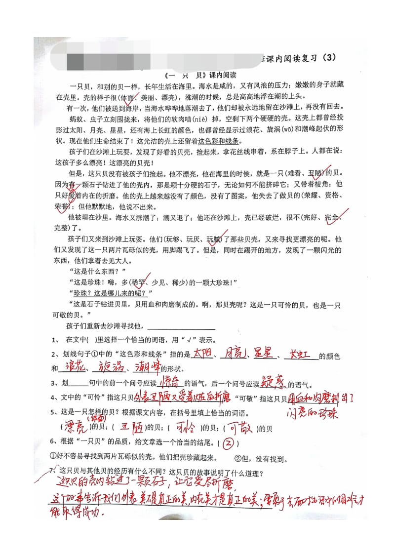 《一只贝》阅读及答案名师制作优质教学资料.doc_第2页