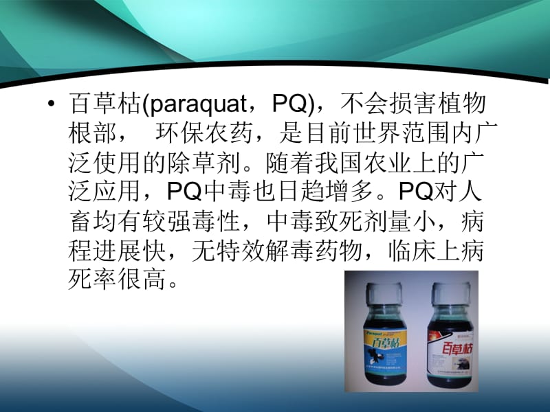 医学课件百草枯中毒 (1).ppt_第2页