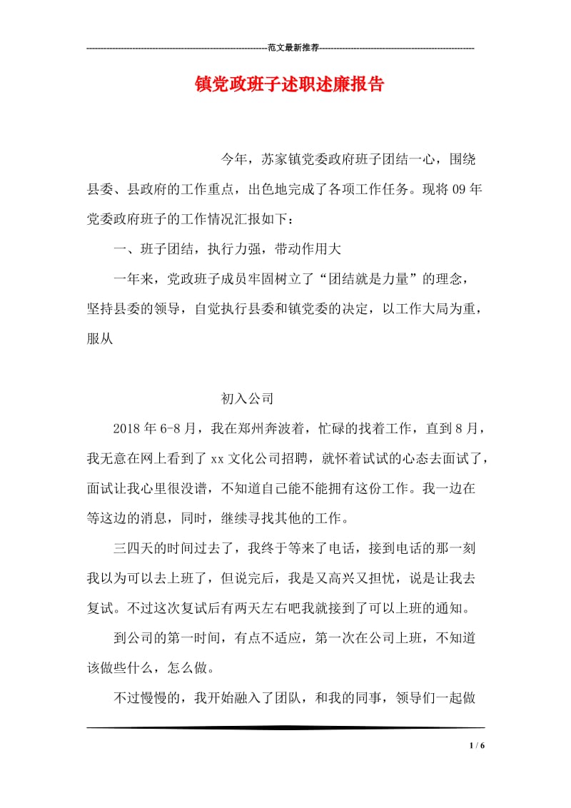 镇党政班子述职述廉报告.doc_第1页