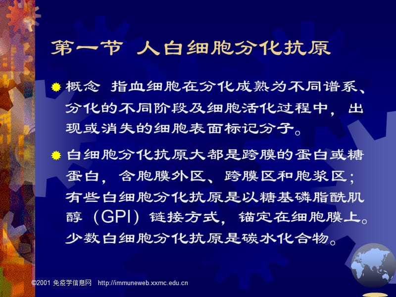 医学课件白细胞分化抗原和黏附分子.ppt_第3页