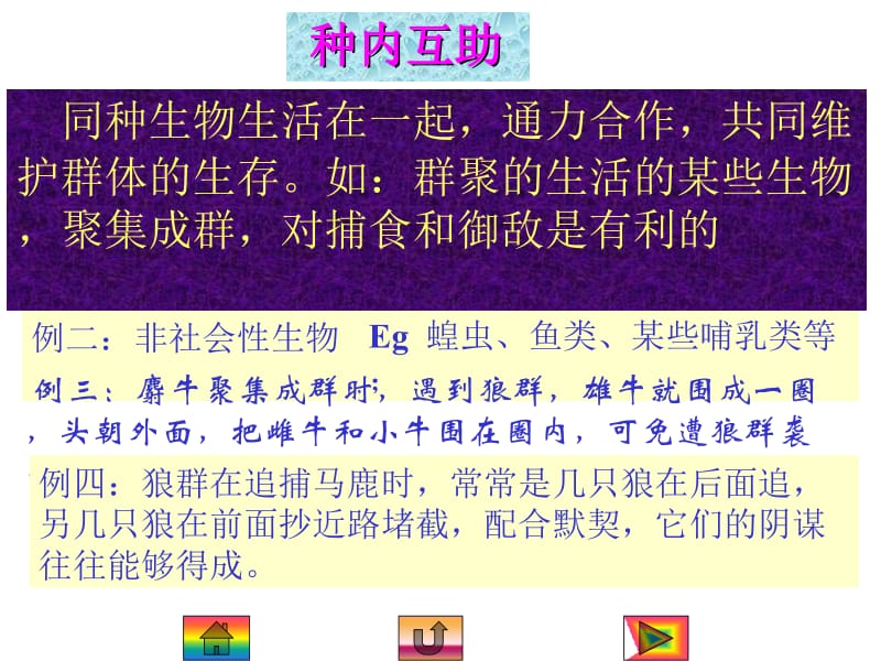 医学课件第七章生物与环境.ppt_第2页