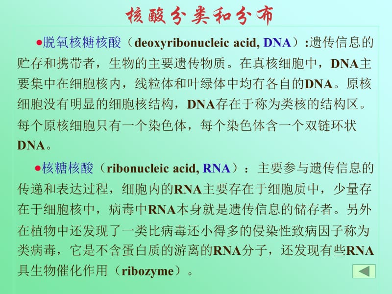 医学课件第一章核酸的结构与功能.ppt_第3页