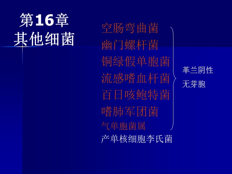 医学课件第16部分其他细菌.ppt_第1页