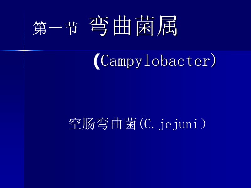 医学课件第16部分其他细菌.ppt_第2页