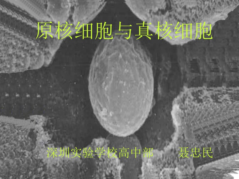 医学课件真核细胞与原核细胞课件 高一生物课件.ppt_第1页