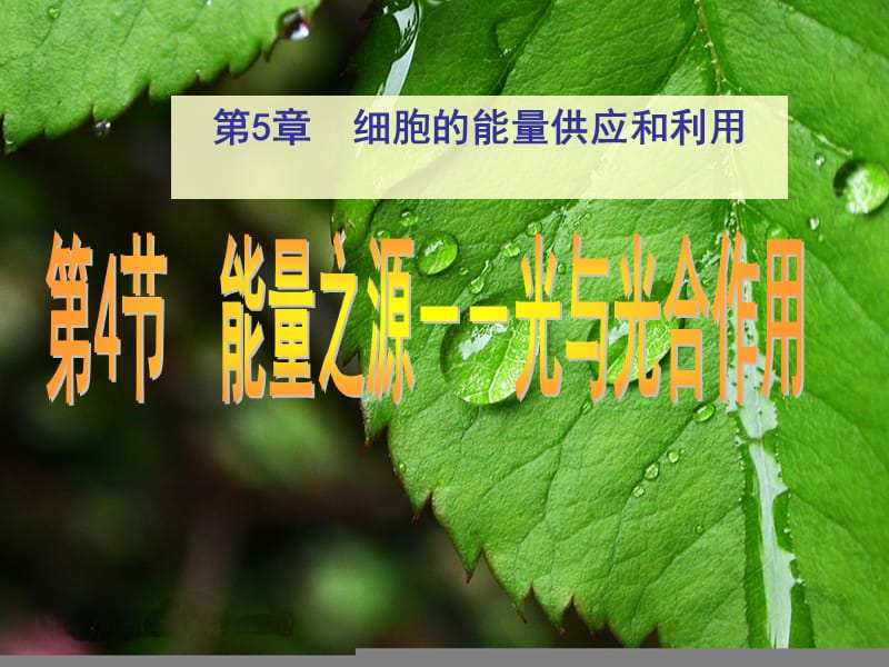 医学课件第5部分细胞的能量供应和利用.ppt_第1页