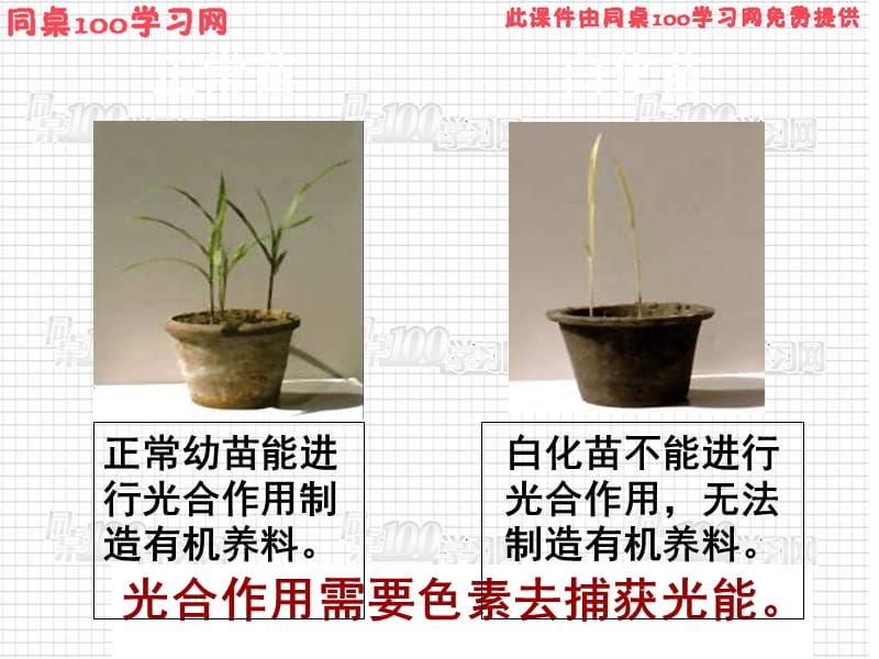 医学课件第5部分细胞的能量供应和利用.ppt_第2页