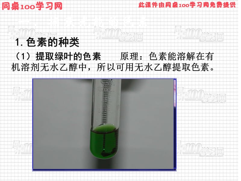 医学课件第5部分细胞的能量供应和利用.ppt_第3页