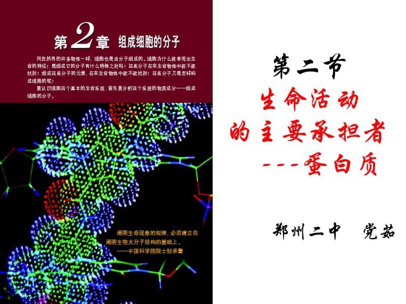 医学课件第二节生命活动的主要承担者---蛋白质郑州二中党茹.ppt_第1页