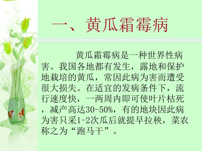 医学课件第三章葫芦科蔬菜病害.ppt_第3页