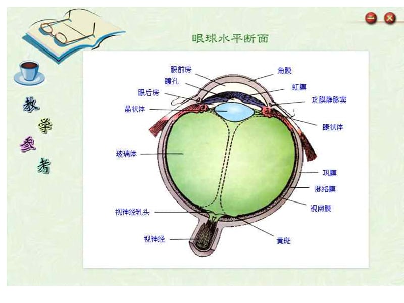 医学课件眼和视觉--_浙教版.ppt_第2页