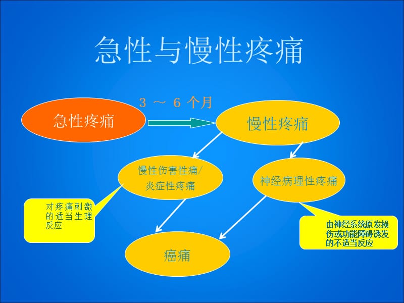 医学课件神经性疼痛.ppt_第2页