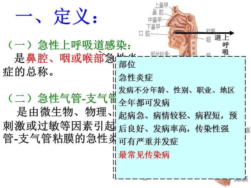 医学课件第三节急性呼吸道感染.ppt_第2页