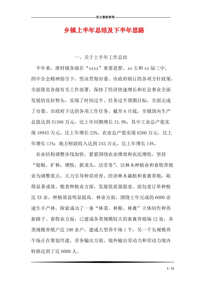 乡镇上半年总结及下半年思路.doc_第1页