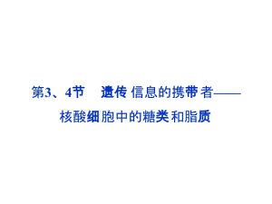 医学课件第34节遗传信息的携带者核酸细胞中的糖类和脂质.ppt